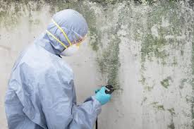 Best Air Quality Testing for Mold Spores  in Alameda, CA